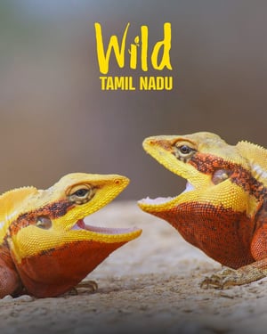 WILD TAMILNADU (2026) poster