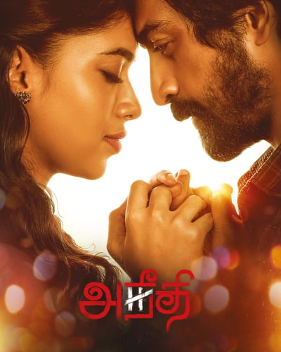 ANEEDHI (2023) poster