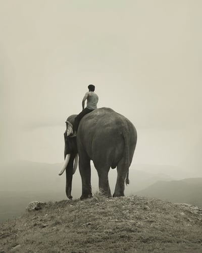 KUMKI 2 (2025) poster