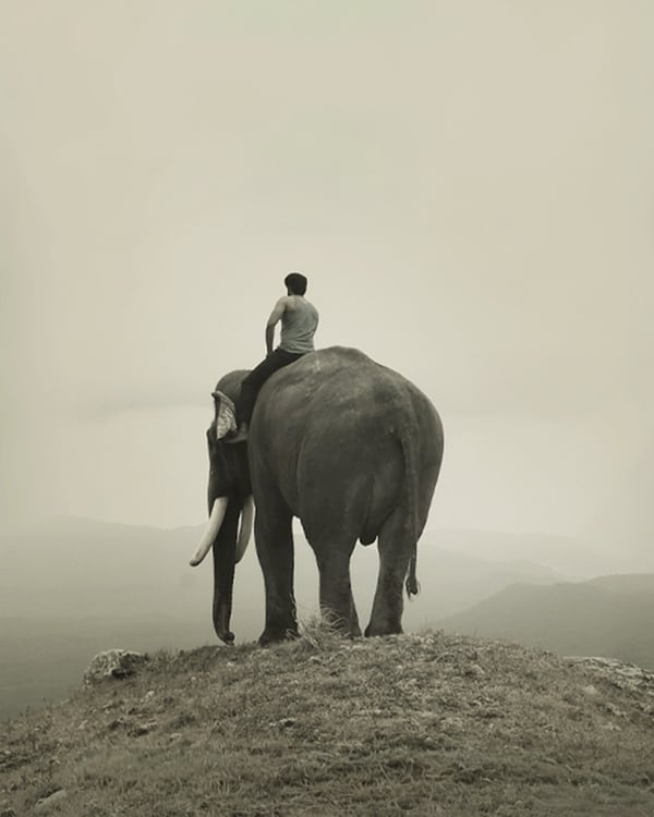 KUMKI 2 (2025) poster