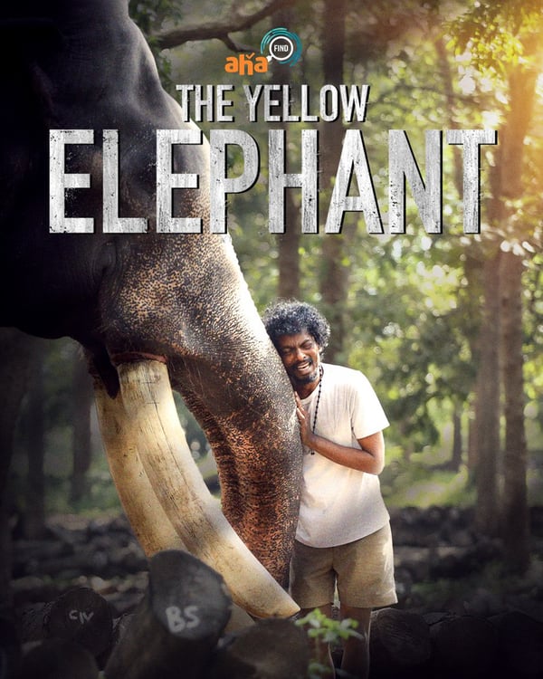 THE YELLOW ELEPHANT (2026) poster